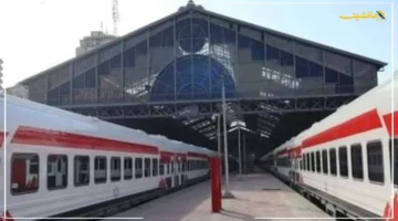 في اللحظة الأخيرة.. ناظر محطة قطارات طما ينقذ راكبًا من الموت قبل دهسه شاهد الفيديو الكامل 1